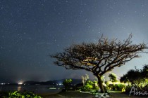 750_Fusaki_背景 750_Fusaki_背景