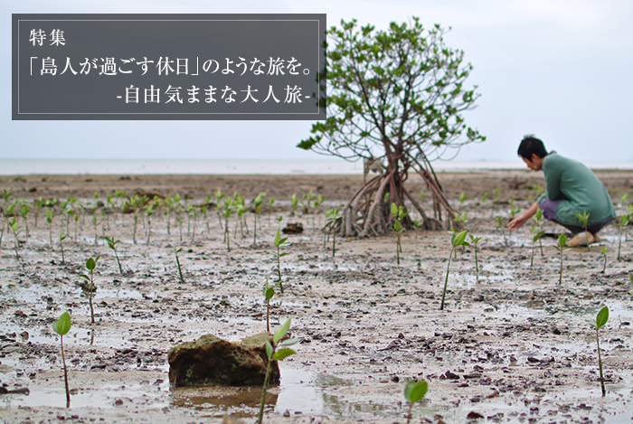 自由気ままな大人旅　マングローブってかわいい