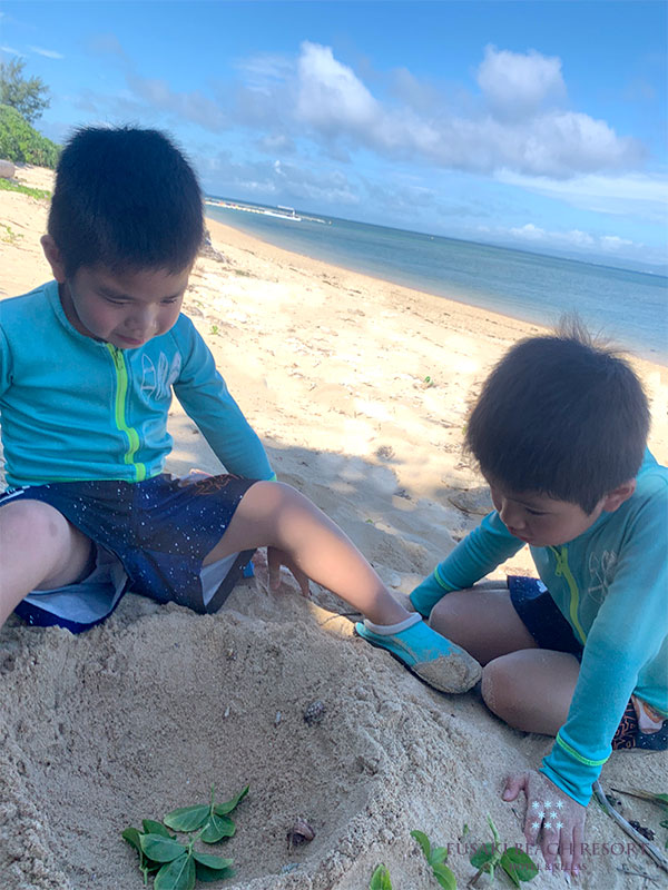 アヤパニ子供教室フサキビーチ探検隊に参加しているお子様2人