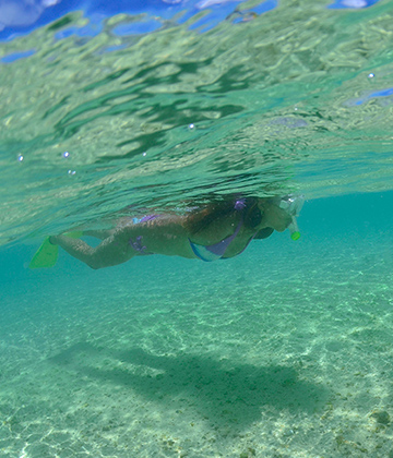 Snorkel Tour