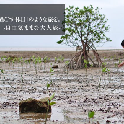 自由気ままな大人旅　マングローブってかわいい