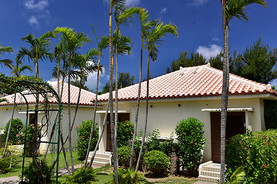 ã¬ã¼ãã³ã´ã£ã©ãº