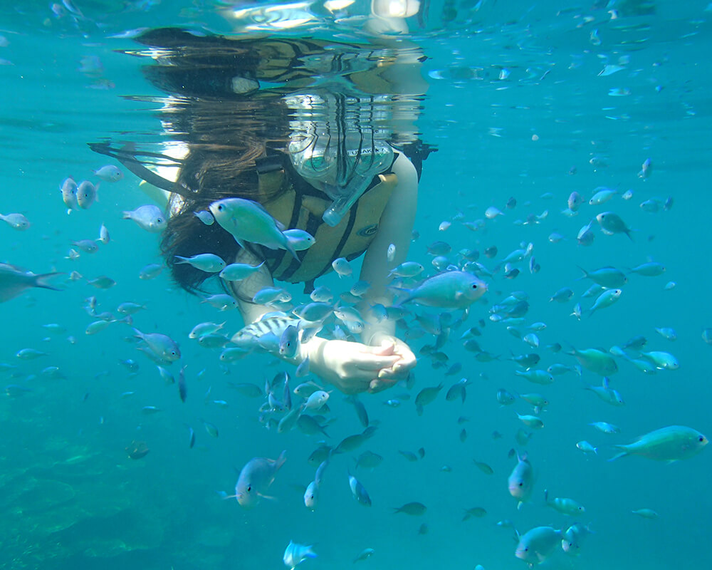marine activity_snorkeling